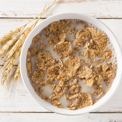 Jairaj | The Legacy of Taste & Goodness