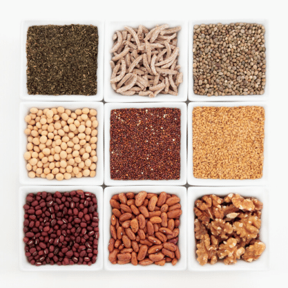 Jairaj | The Legacy of Taste & Goodness